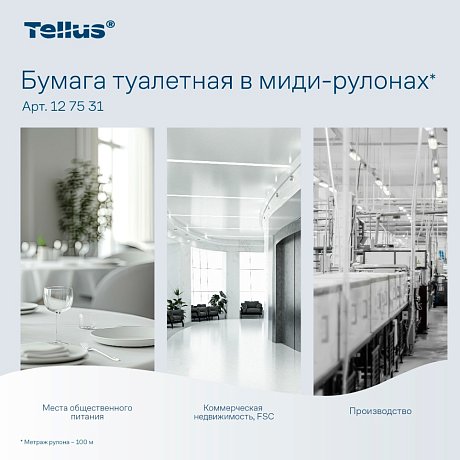 Бумага туалетная Tellus Комфорт T6, в миди-рулонах 100 м, 2 слоя (127531)