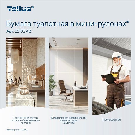 Бумага туалетная Tellus Премиум T2, в мини-рулонах, 170 м, 2 слоя (120243)