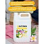 Кондиционер для белья Dutybox Paradise, 5 л, экологичный, концентрат (db-5197)