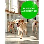 Средство чистящее для туалетных и ванных комнат 