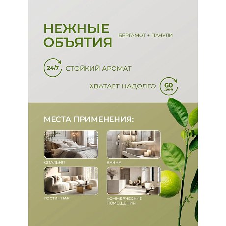 Освежитель воздуха До-Ре-Ми Нежные объятия, аэрозоль, Премиум, 250 мл (сменный баллон)