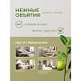 Освежитель воздуха До-Ре-Ми Нежные объятия, аэрозоль, Премиум, 250 мл (сменный баллон)