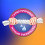 Полотенца бумажные Zemma Expert, 2 рулона, 3 слоя, декор