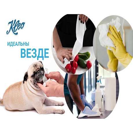 Полотенца бумажные Kleo, в рулонах с центральной вытяжкой, 100 м, 3 слоя, 100% целлюлоза (C483)