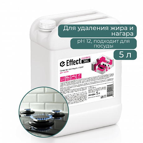 Средство чистящее для кухни "Effect Гамма 301", 5 л
