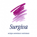 Surgiva