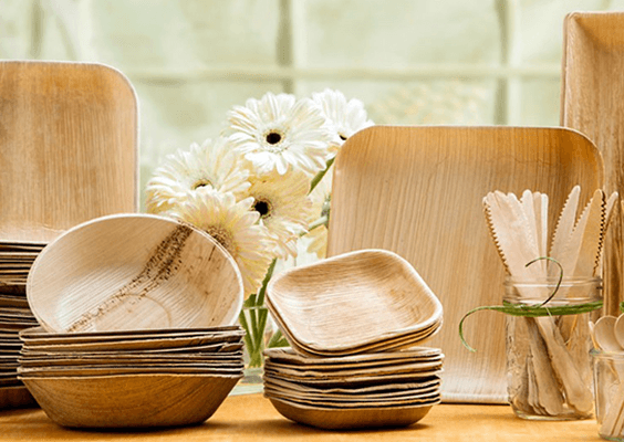 Экостандарты: посуда из биоразлагаемого материала