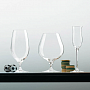 Набор бокалов для граппы 
