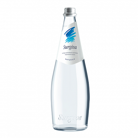 Вода минеральная "Surgiva", 0.75 л, негазированная, стеклянная бутылка